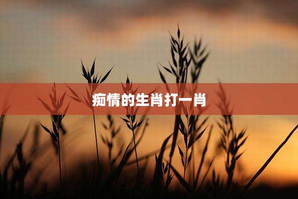 痴情的生肖打一肖