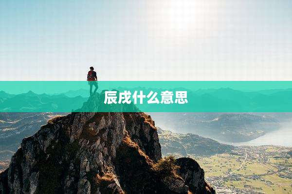 辰戌什么意思