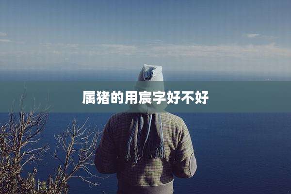 属猪的用宸字好不好