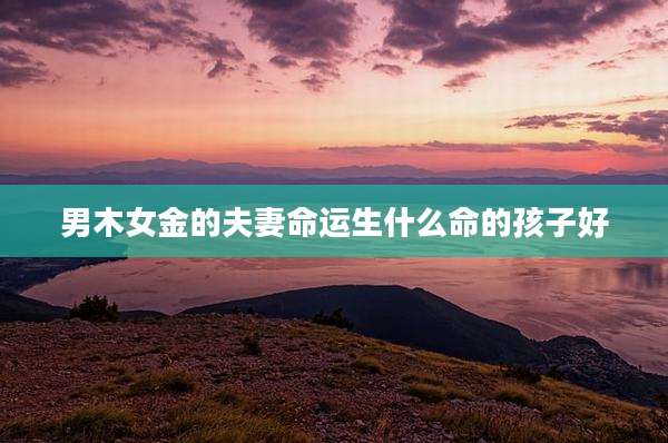 男木女金的夫妻命运生什么命的孩子好