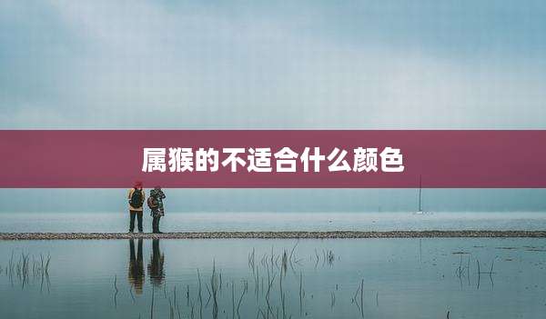 属猴的不适合什么颜色