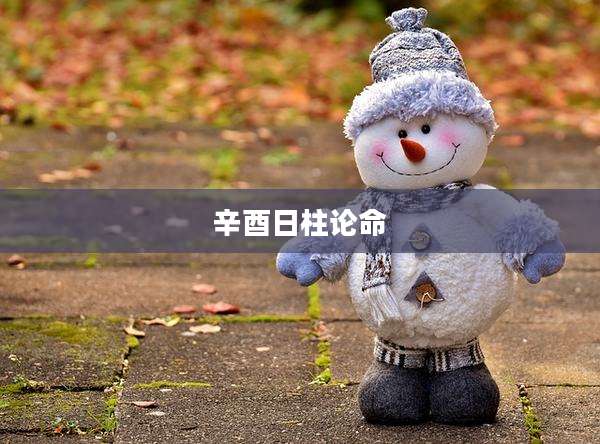 辛酉日柱论命