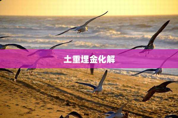 土重埋金化解