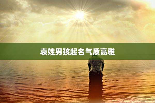 袁姓男孩起名气质高雅