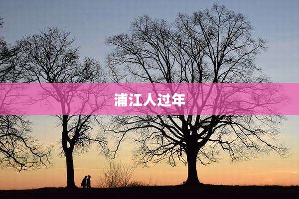 浦江人过年