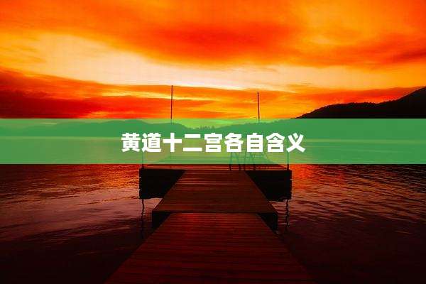 黄道十二宫各自含义
