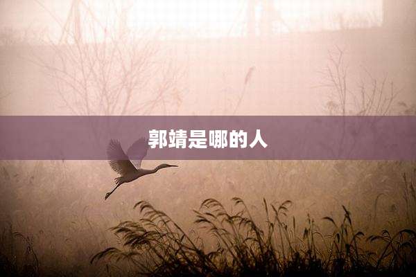 郭靖是哪的人