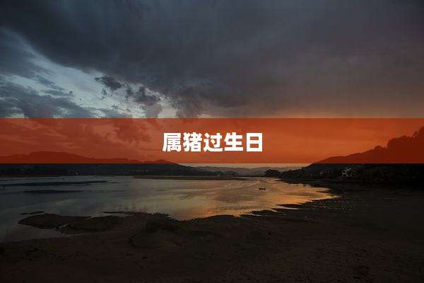属猪过生日