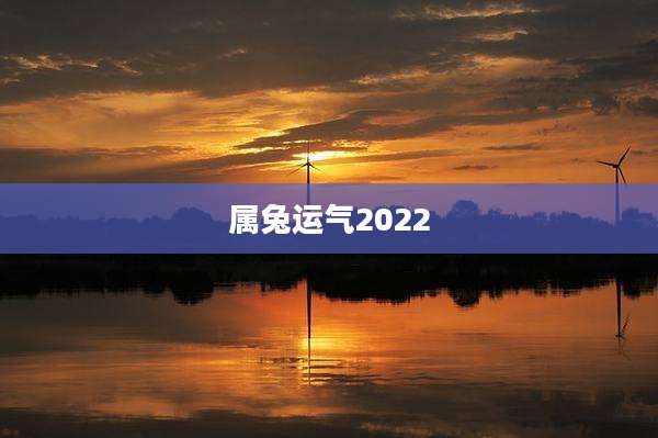 属兔运气2022