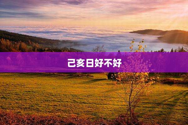 己亥日好不好