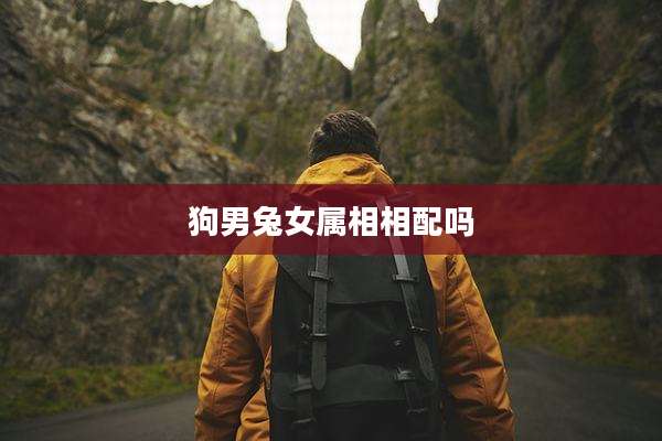 狗男兔女属相相配吗