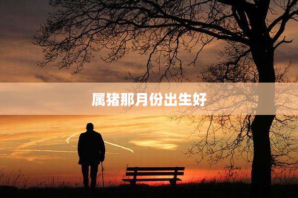 属猪那月份出生好