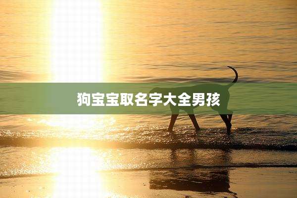 狗宝宝取名字大全男孩