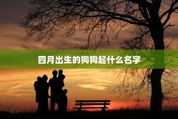 四月出生的狗狗起什么名字