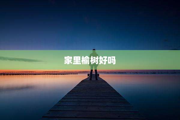 家里榆树好吗