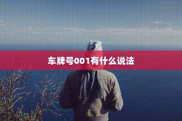 车牌号001有什么说法