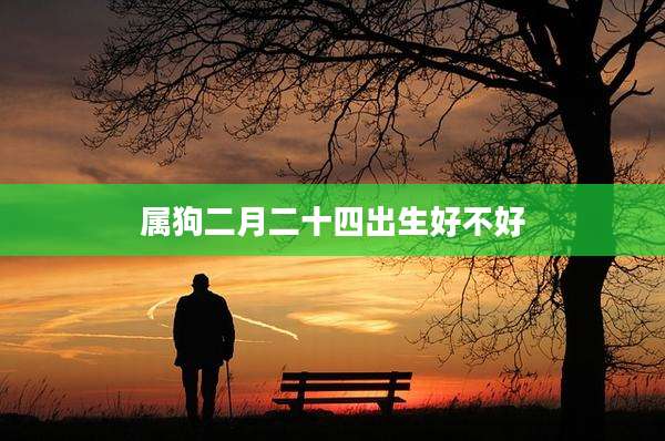 属狗二月二十四出生好不好