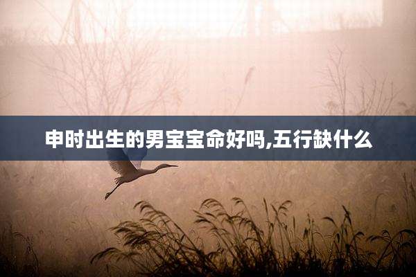 申时出生的男宝宝命好吗,五行缺什么