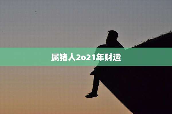 属猪人2o21年财运