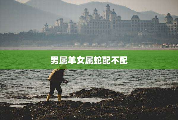 男属羊女属蛇配不配