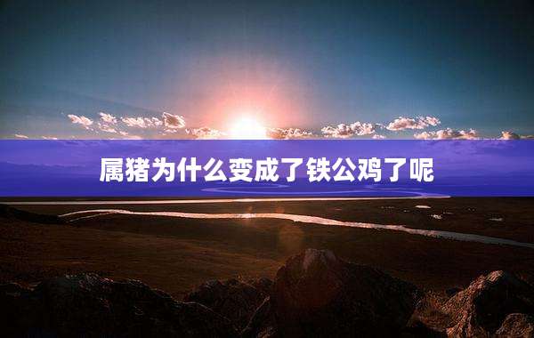 属猪为什么变成了铁公鸡了呢