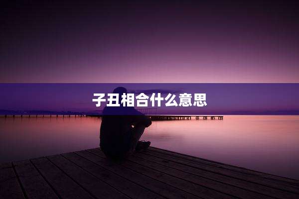 子丑相合什么意思