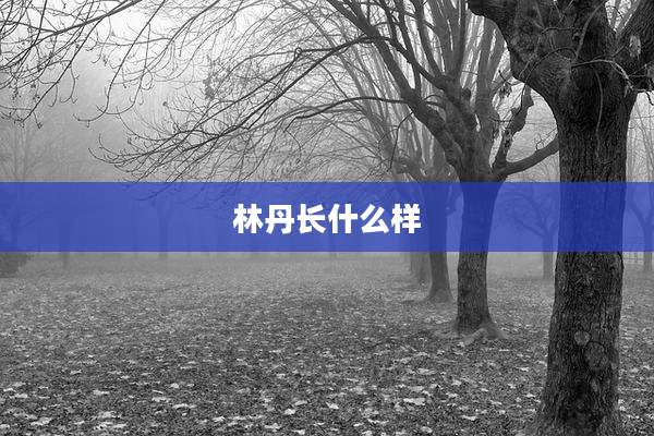 林丹长什么样