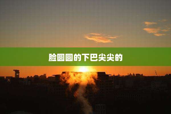 脸圆圆的下巴尖尖的