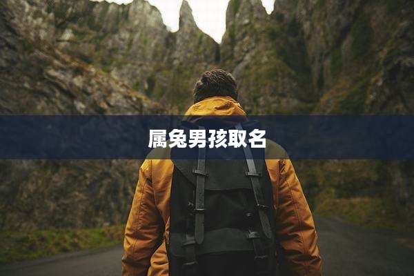 属兔男孩取名