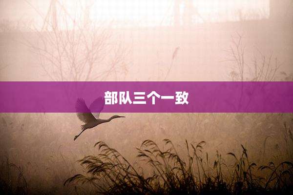 部队三个一致