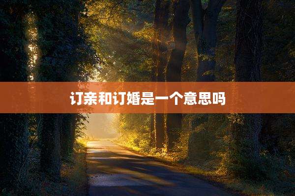 订亲和订婚是一个意思吗