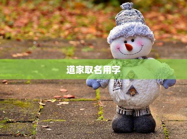道家取名用字