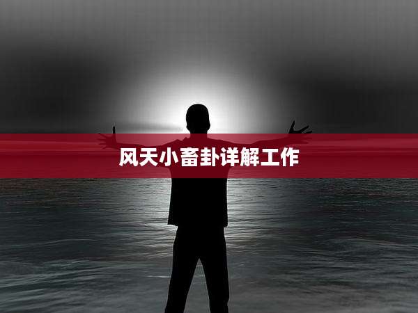 风天小畜卦详解工作