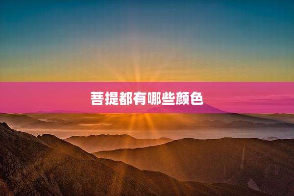 菩提都有哪些颜色