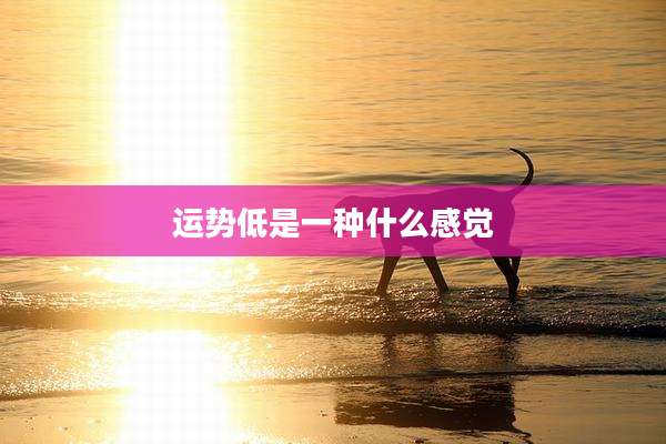 运势低是一种什么感觉