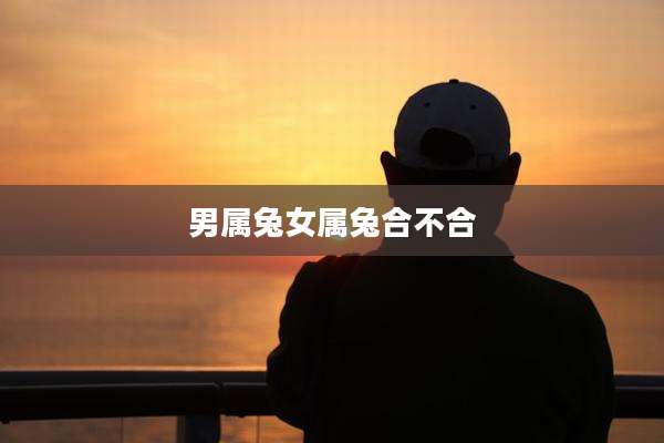 男属兔女属兔合不合