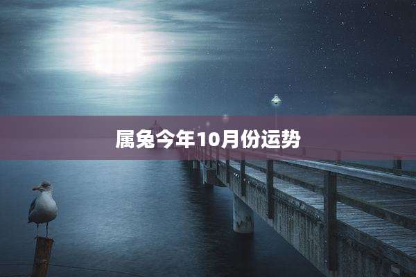 属兔今年10月份运势