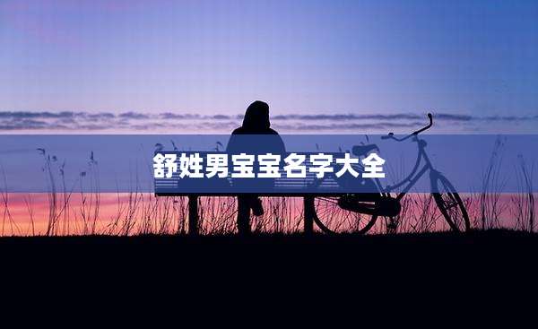 舒姓男宝宝名字大全