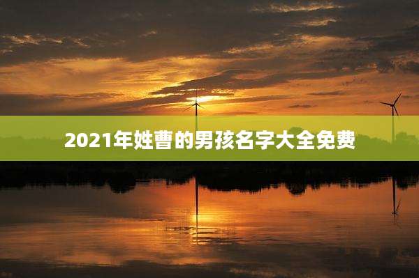 2021年姓曹的男孩名字大全免费