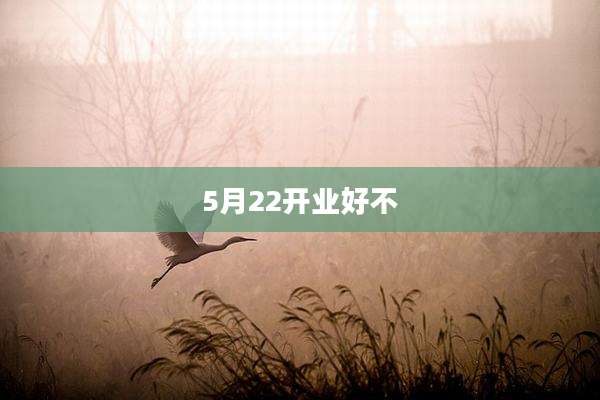 5月22开业好不