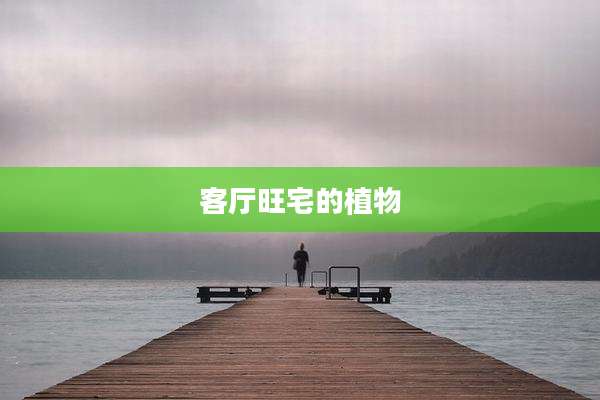客厅旺宅的植物