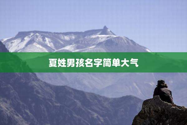 夏姓男孩名字简单大气