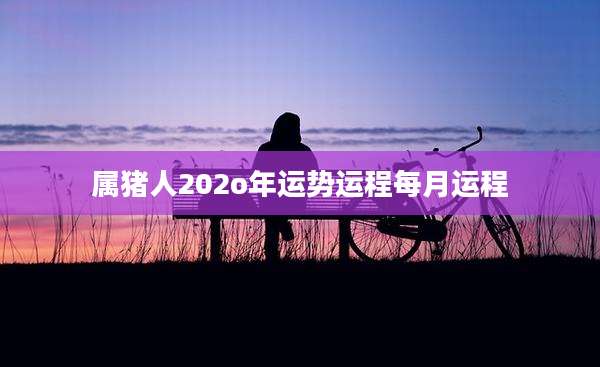 属猪人202o年运势运程每月运程