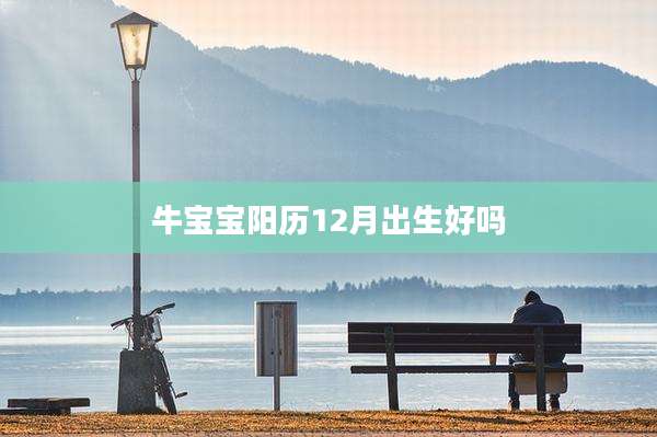 牛宝宝阳历12月出生好吗