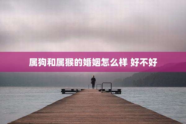 属狗和属猴的婚姻怎么样 好不好