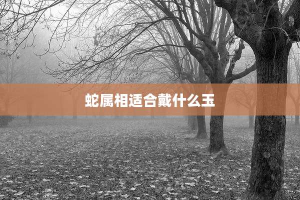 蛇属相适合戴什么玉