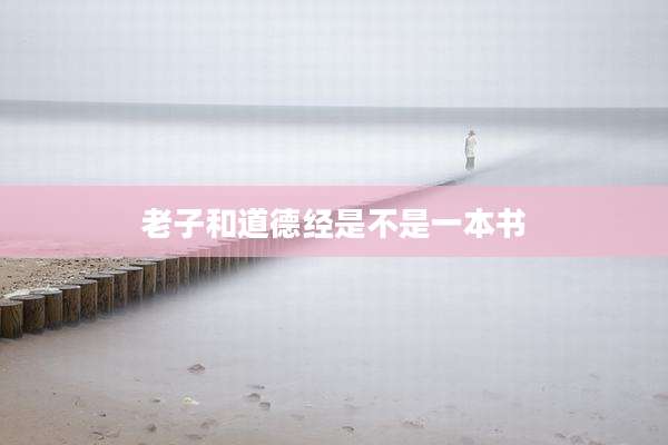 老子和道德经是不是一本书