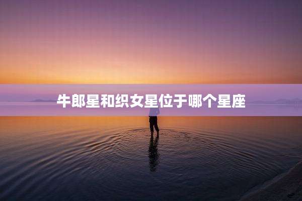 牛郎星和织女星位于哪个星座