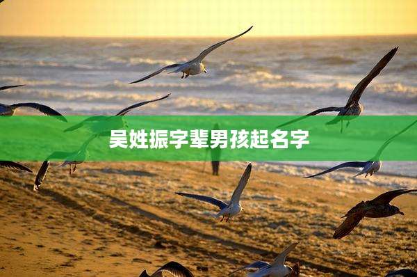 吴姓振字辈男孩起名字