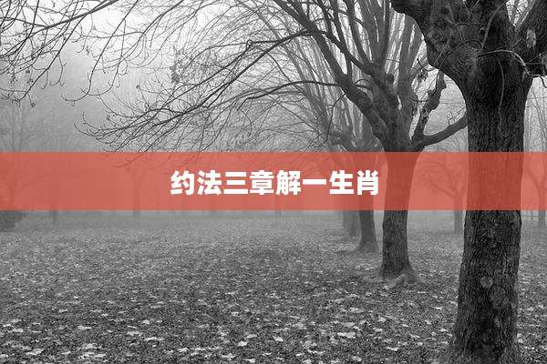 约法三章解一生肖